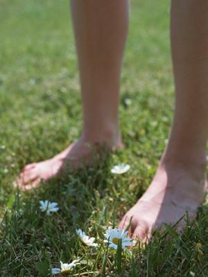 インカオイル社のオイルを直輸入。中京商事株式会社