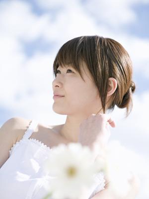 健康食品である霊芝をご存知ですか